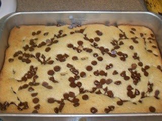 Three Kids And Lots of Pigs Sour Cream Chocolate Chip Cake