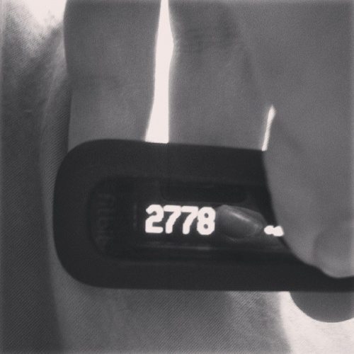 Fitbit One