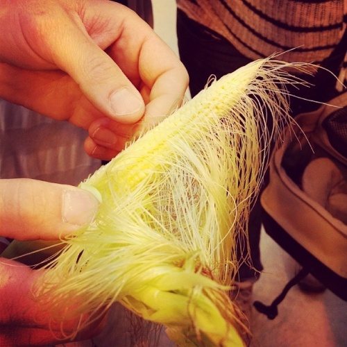 corn silk