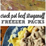 Freeze Ahead Crock Pot Beef Stroganoff