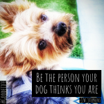 Be the person your dog thinks you are - JW Stephens
