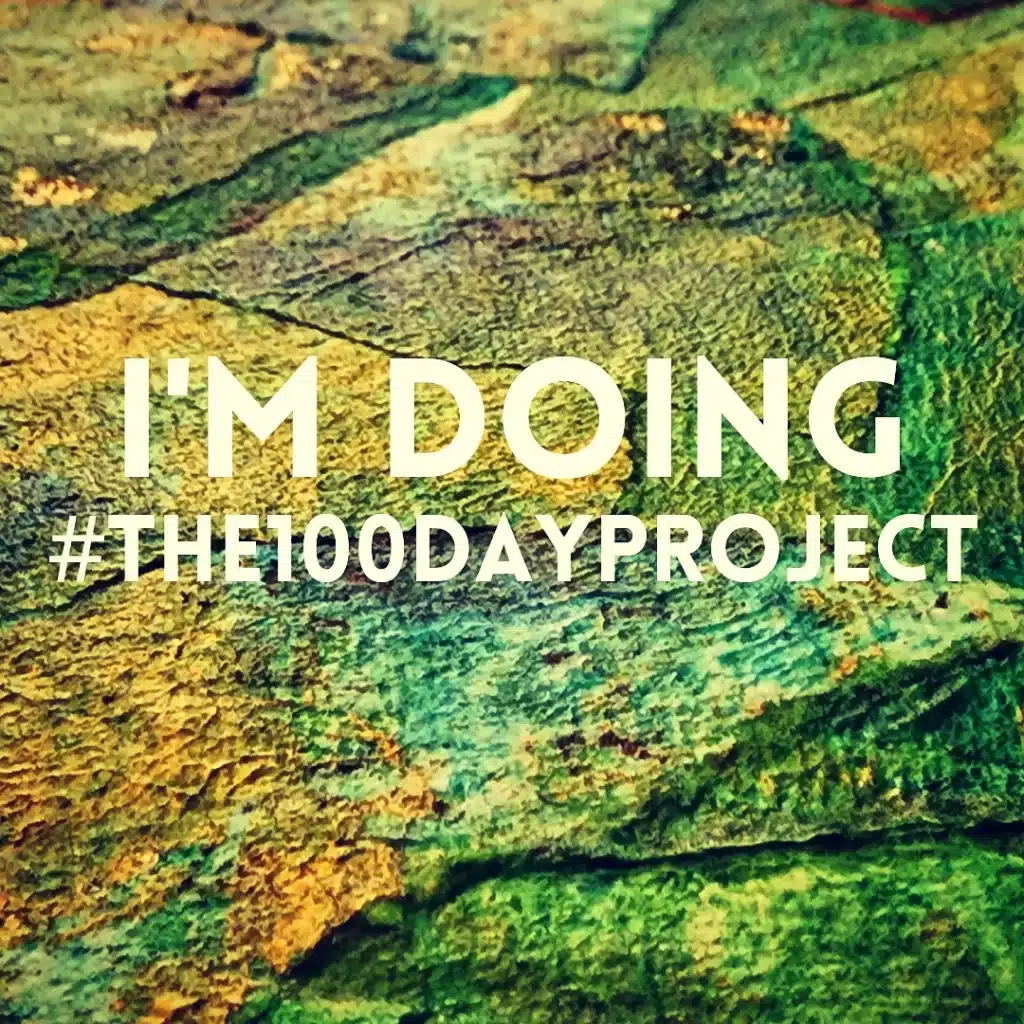 Collage background with text that says, "I'm Doing the 100 Days Project"