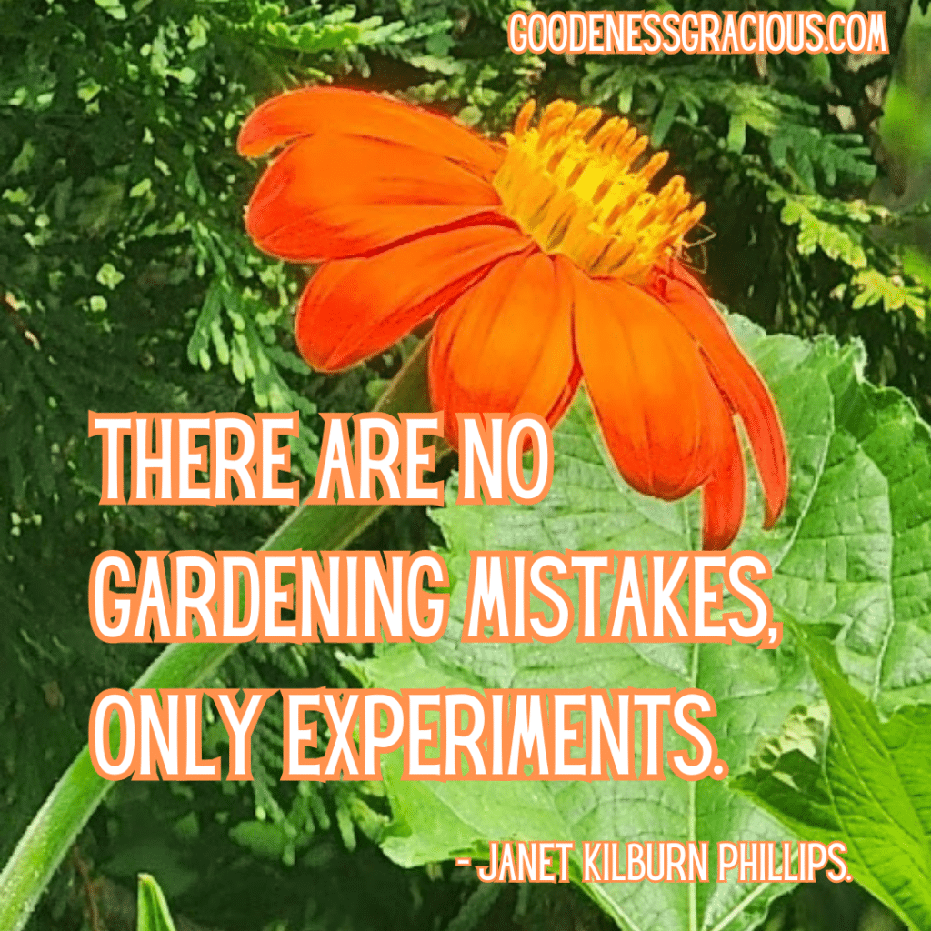 There are no gardening mistakes, only experiments. Janet Kilburn-Phillips.