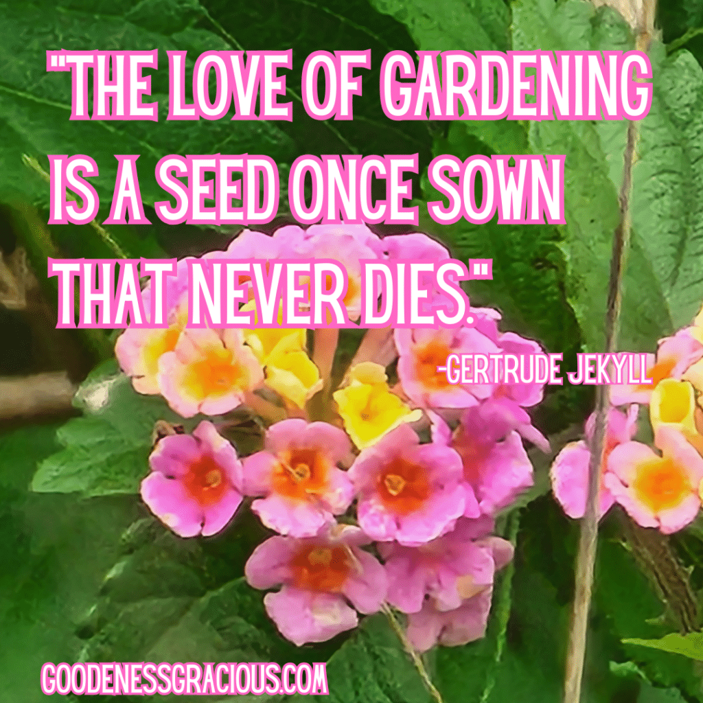 The love of gardening is a seed once sown that never dies. Gertrude Jekyll