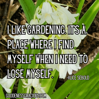 I like gardening – it's a place I find myself when I need to lose myself. ~ Alice Sebold.