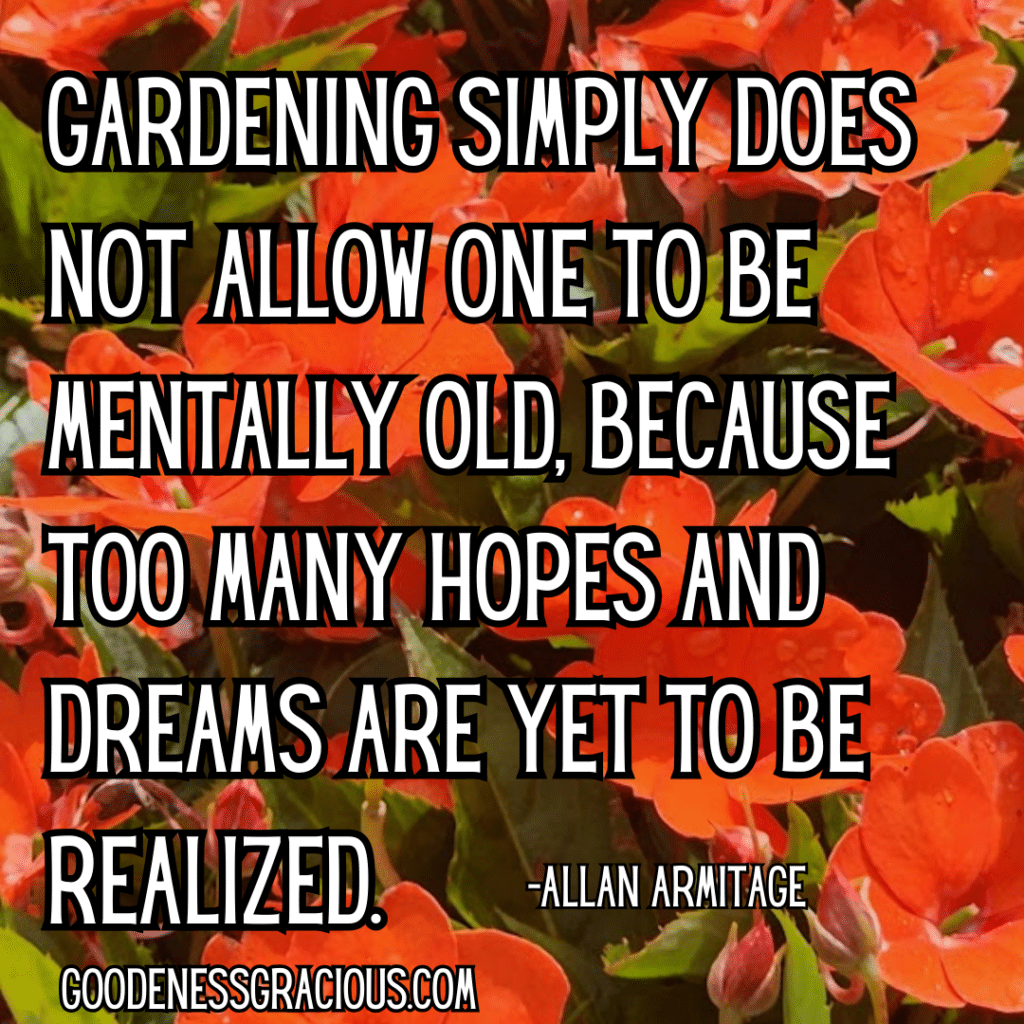 Gardening simply does not allow one to be mentally old, because too many hopes and dreams are yet to be realized. Allan Armitage