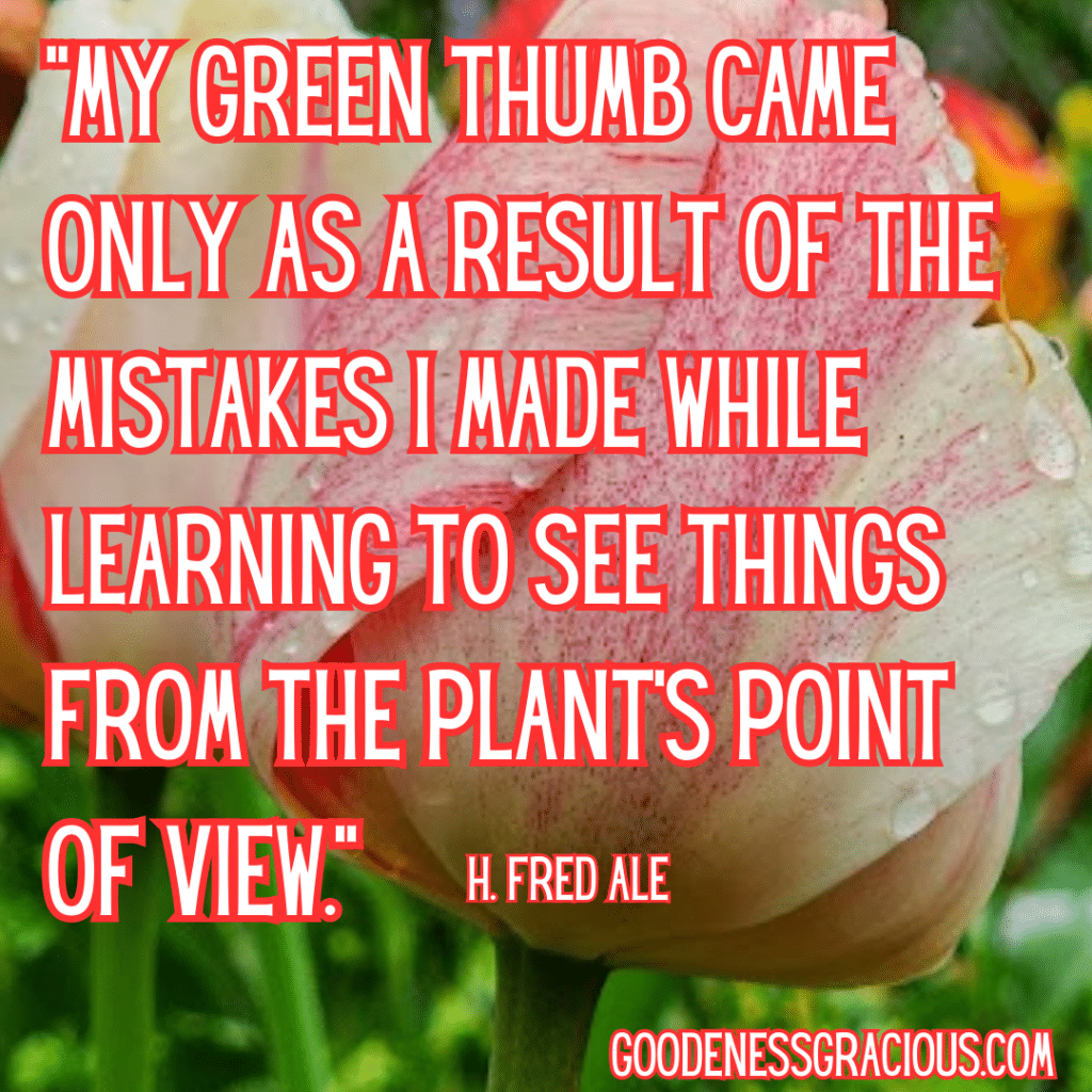 "My green thumb came only as a result of the mistakes I made while learning to see things from the plant's point of view." — H. Fred Dale.
